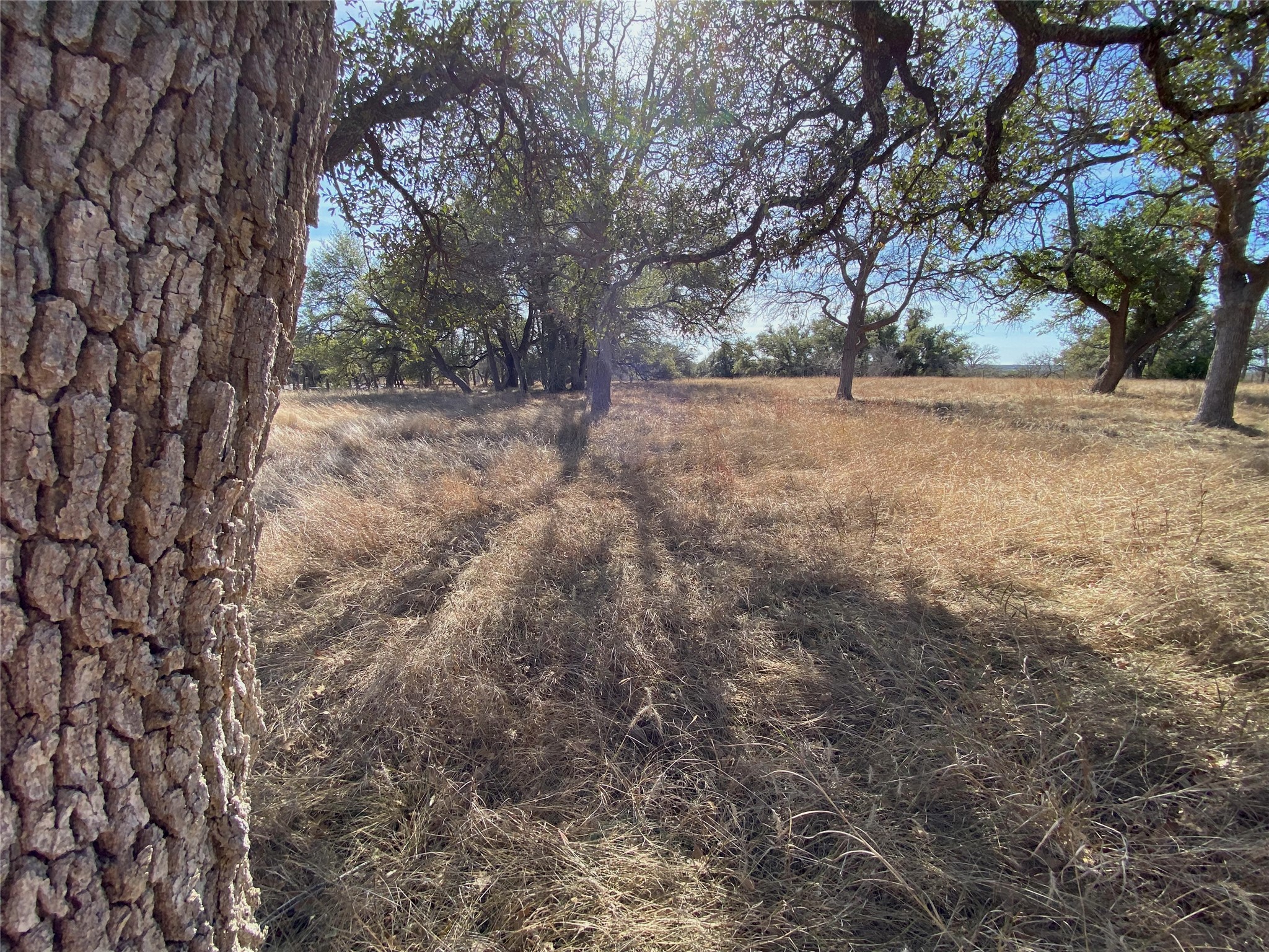 Tbd Lightning Ranch Road Georgetown, TX 78628 - Photo 7 of 15 a view of snow covered with trees