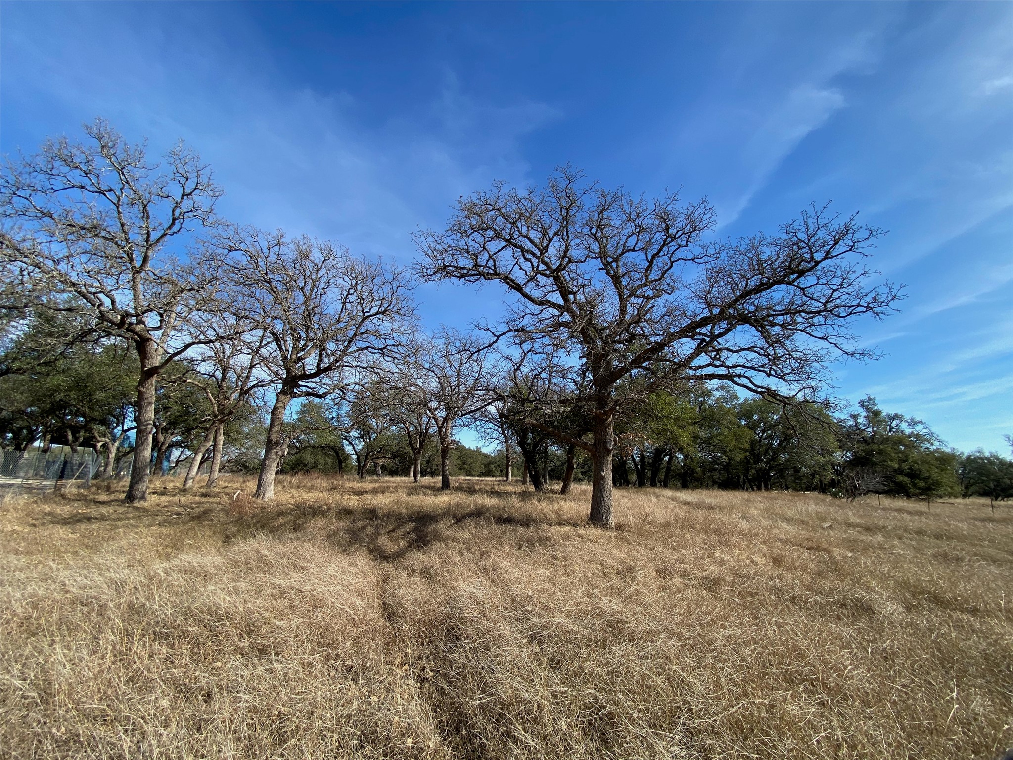 Tbd Lightning Ranch Road Georgetown, TX 78628 - Photo 8 of 15 a view of outdoor space with trees