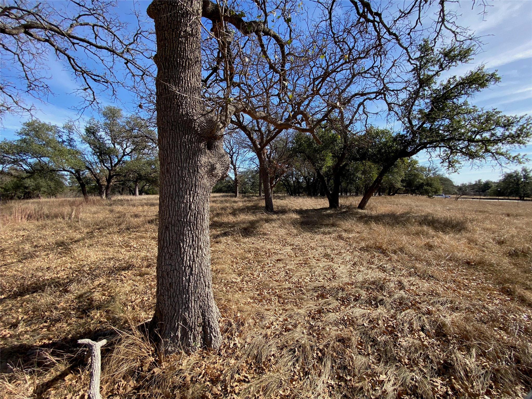 Tbd Lightning Ranch Road Georgetown, TX 78628 - Photo 9 of 15 a view of outdoor space with trees