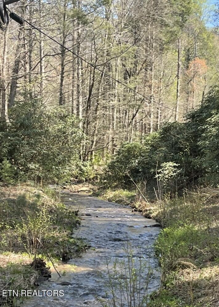 116 Old Doc Rogers Road Tellico Plains, TN 37385 - Photo 23 of 28 IMG_1631
