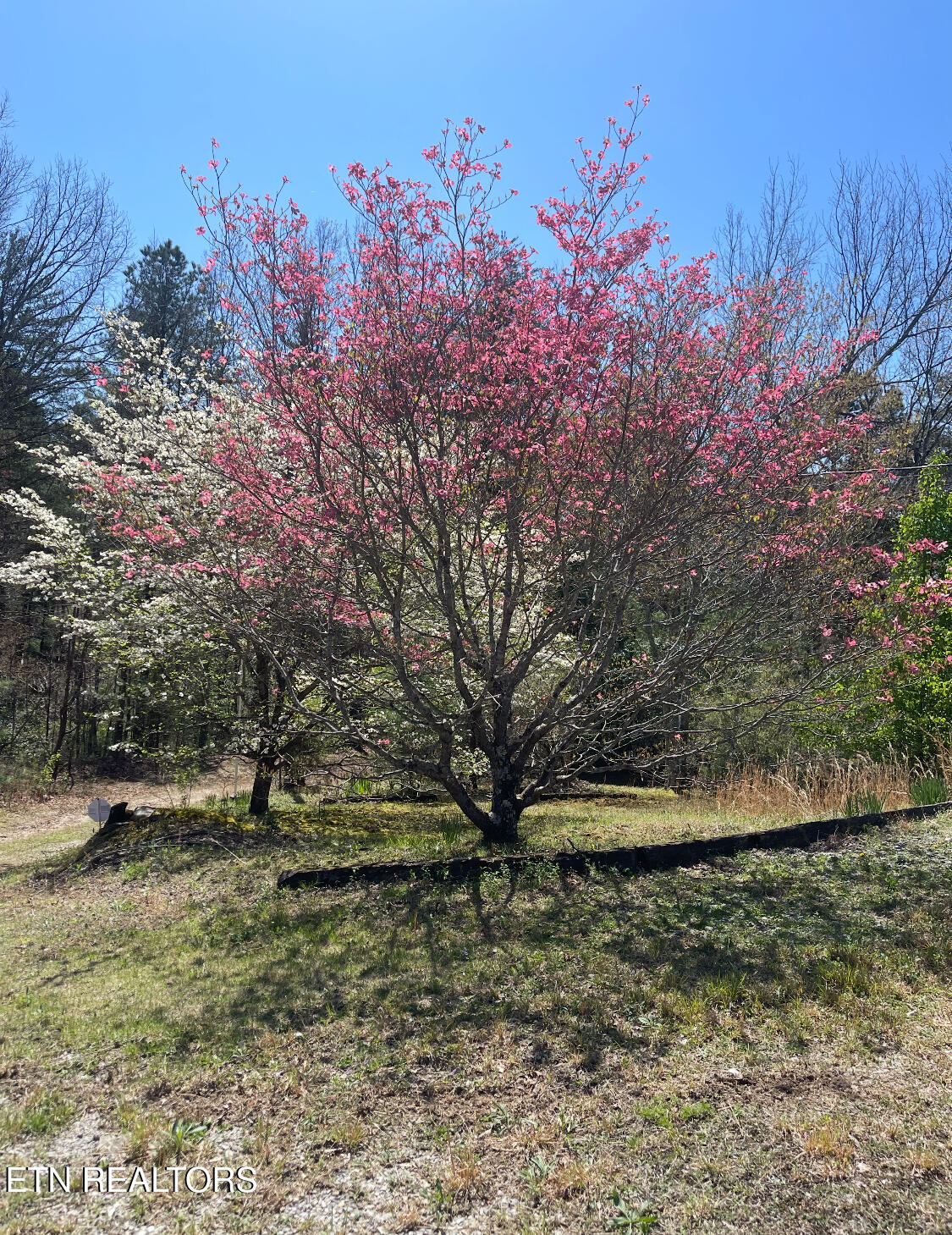 116 Old Doc Rogers Road Tellico Plains, TN 37385 - Photo 24 of 28 IMG_1635