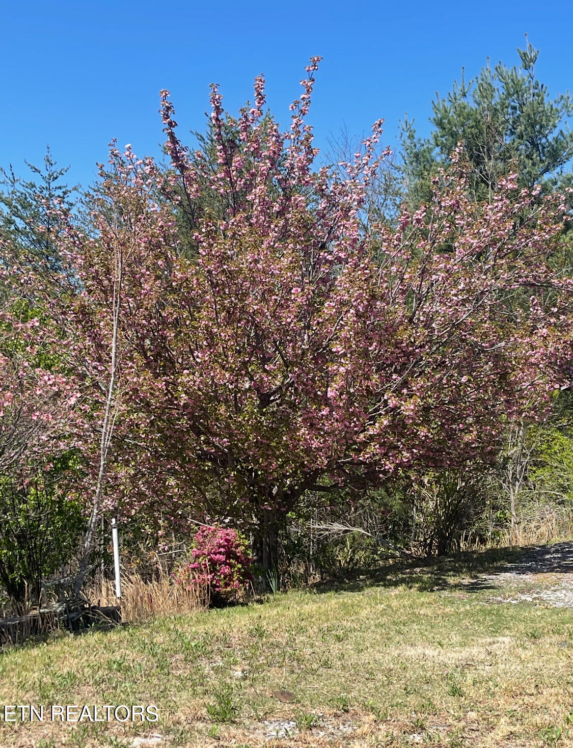 116 Old Doc Rogers Road Tellico Plains, TN 37385 - Photo 25 of 28 IMG_1638