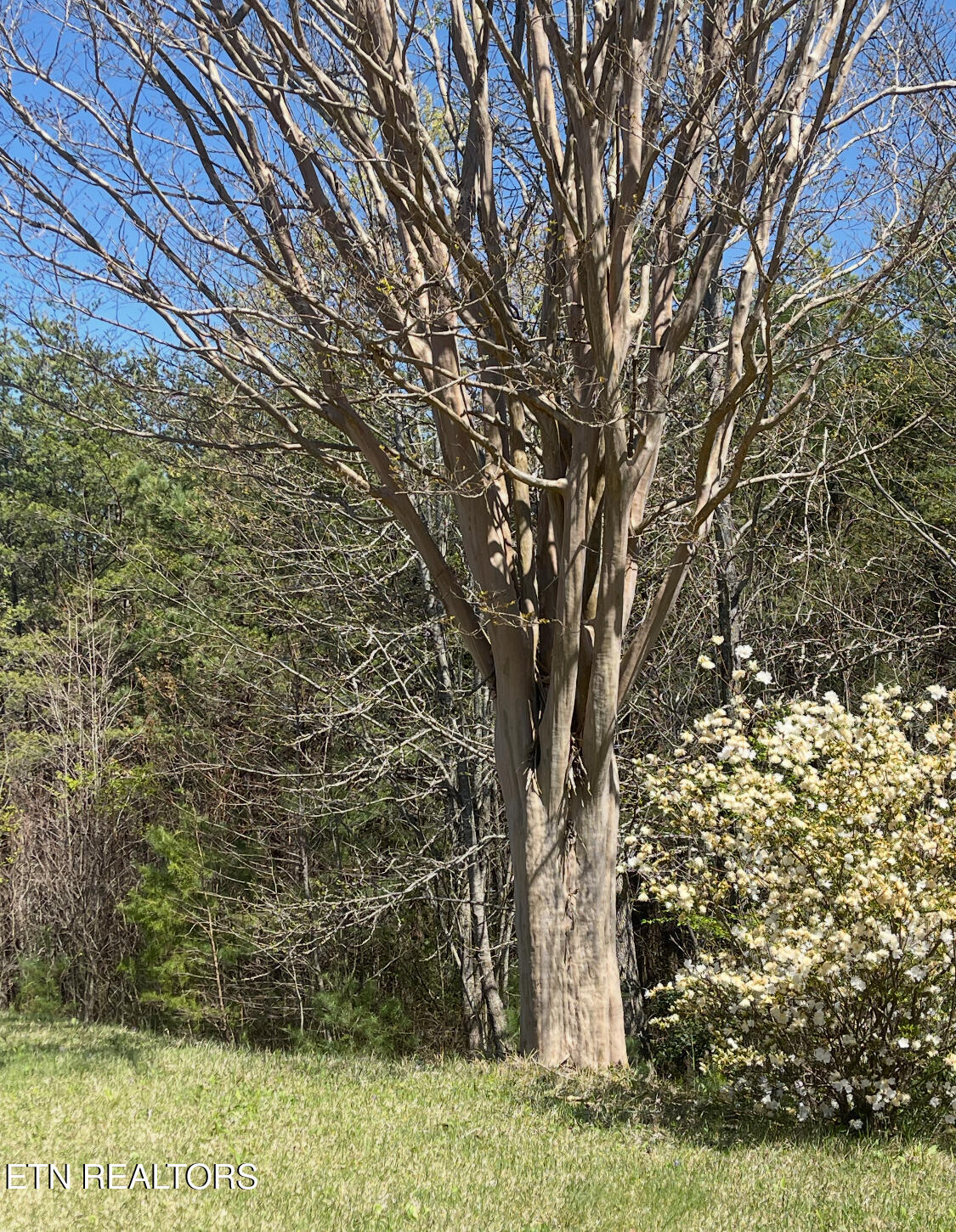 116 Old Doc Rogers Road Tellico Plains, TN 37385 - Photo 26 of 28 IMG_1637
