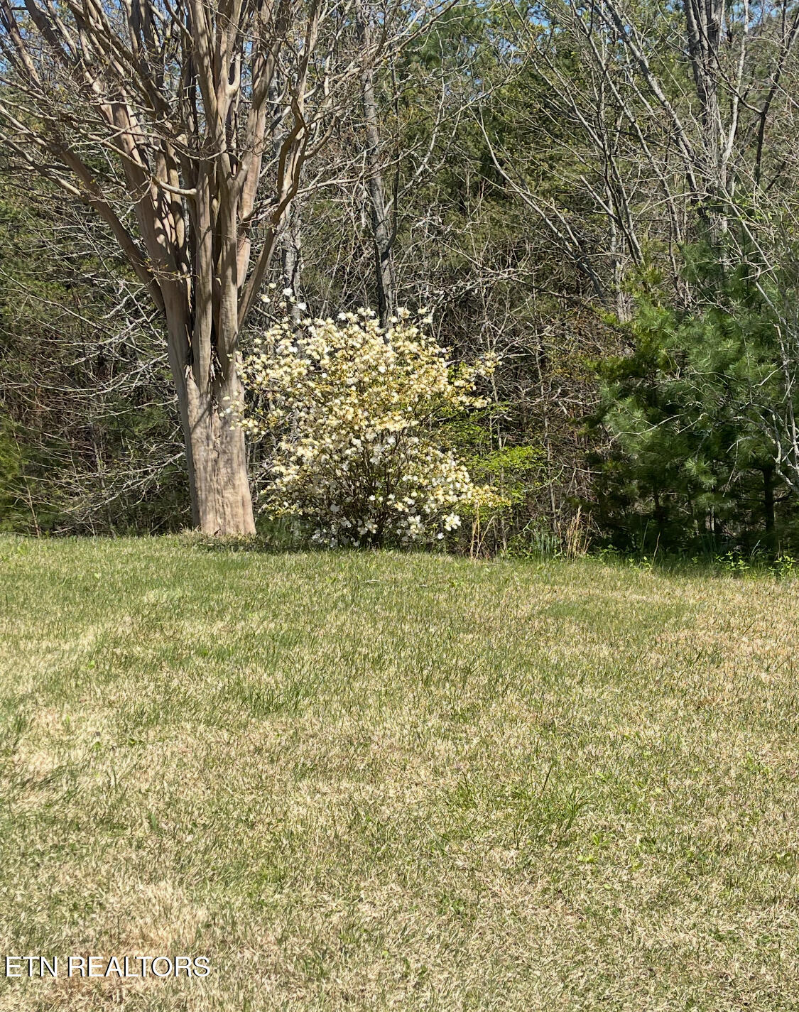 116 Old Doc Rogers Road Tellico Plains, TN 37385 - Photo 27 of 28 IMG_1636