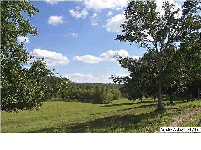 213 Lake Road Oneonta, AL 35121 - Photo 4 of 32