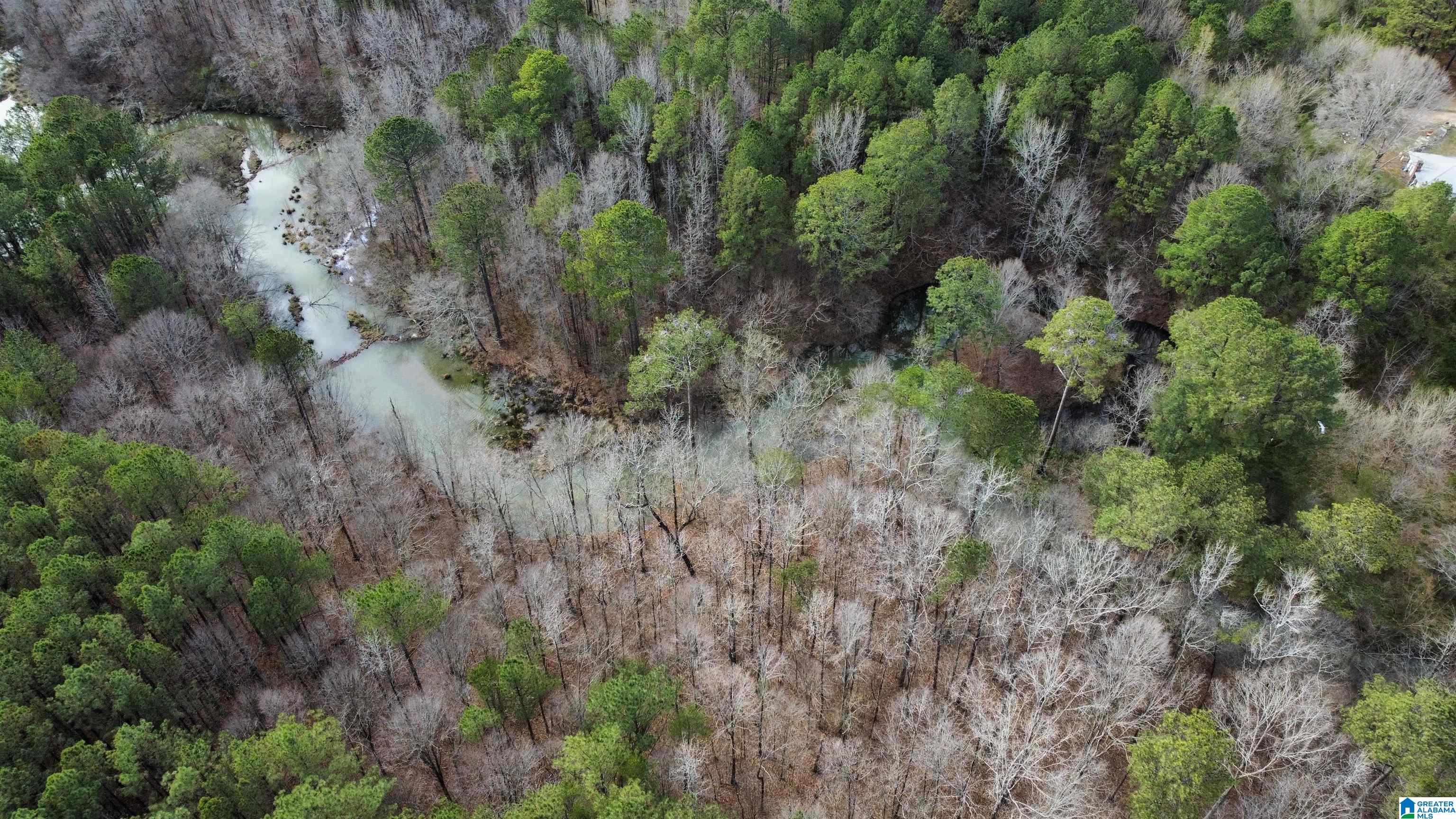 6388 Letson Lake Road, Unit 1 Bessemer, AL 35023 - Photo 5 of 20