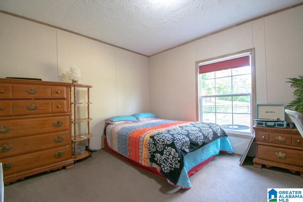 321 Deaver Walker Road Trafford, AL 35172 - Photo 19 of 29