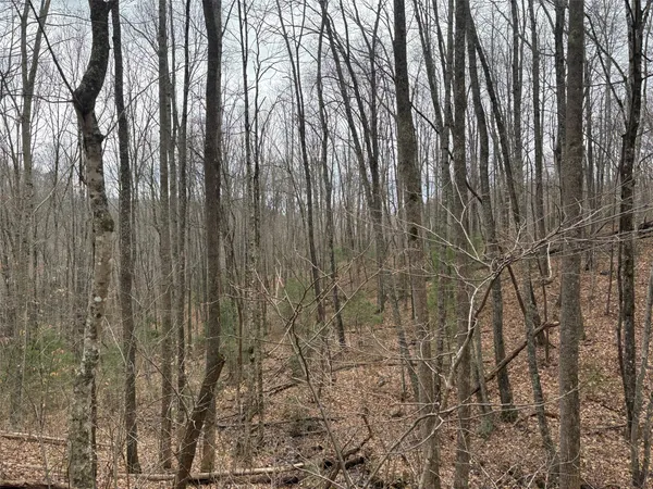$50,000 | 0 Pond View Ridge, Franklin, NC 28734
