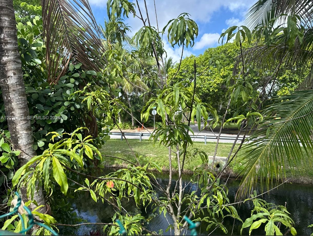 8040 Southwest 63rd Place Miami, FL 33143 - Photo 6 of 15 a view of a plant