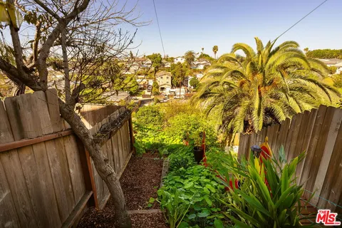 a view of a backyard