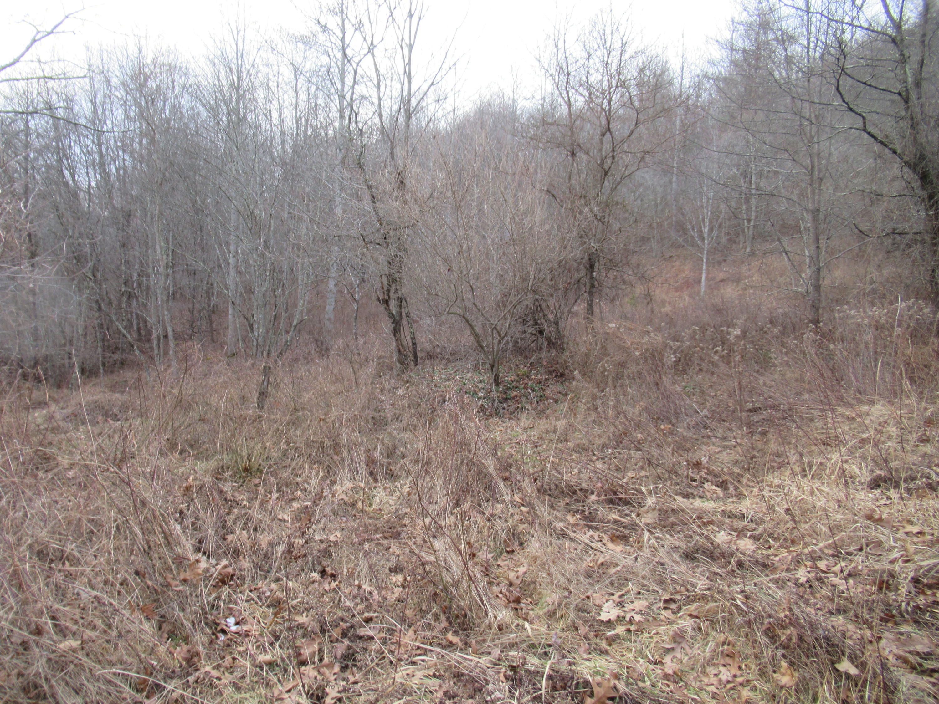 Loudermilk Road Crawley, WV 24931 - Photo 2 of 17 Gallery Image 2