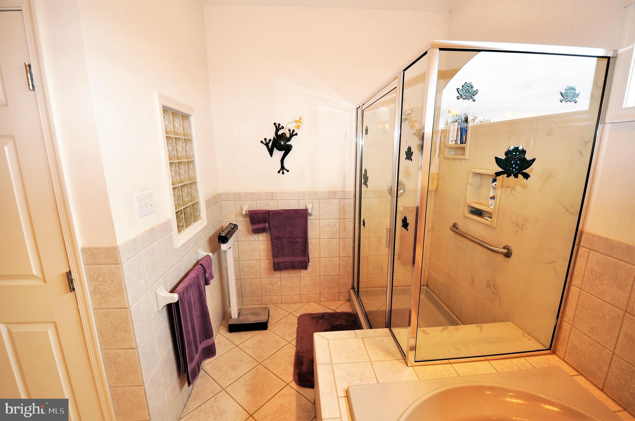 145 Mountain Road Tamaqua, PA 18252 - Photo 23 of 66 Master Bathroom
