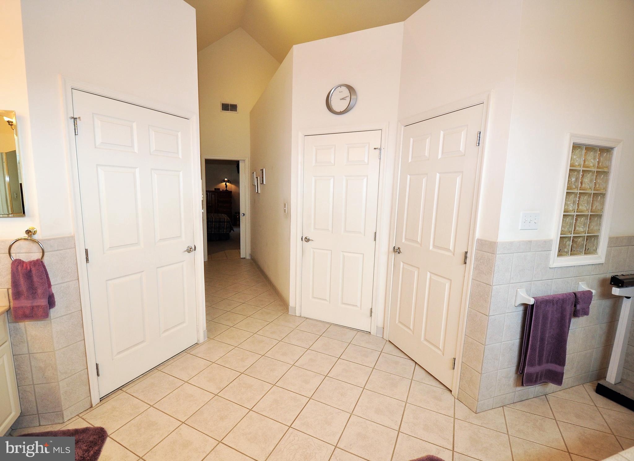 145 Mountain Road Tamaqua, PA 18252 - Photo 25 of 66 Master Bathroom, Water Closet, Dual Walk-in Closet