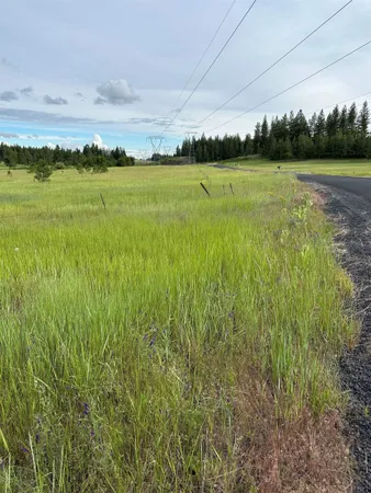 $99,950 | North Whitetail Lane, Chattaroy, WA 99003