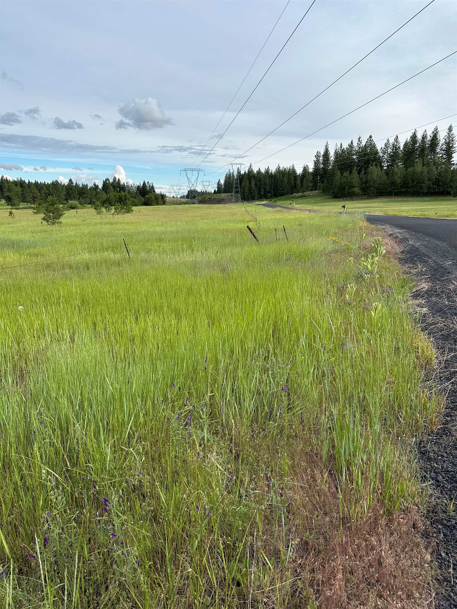 North Whitetail Lane Chattaroy, WA 99003 - Photo 1 of 4