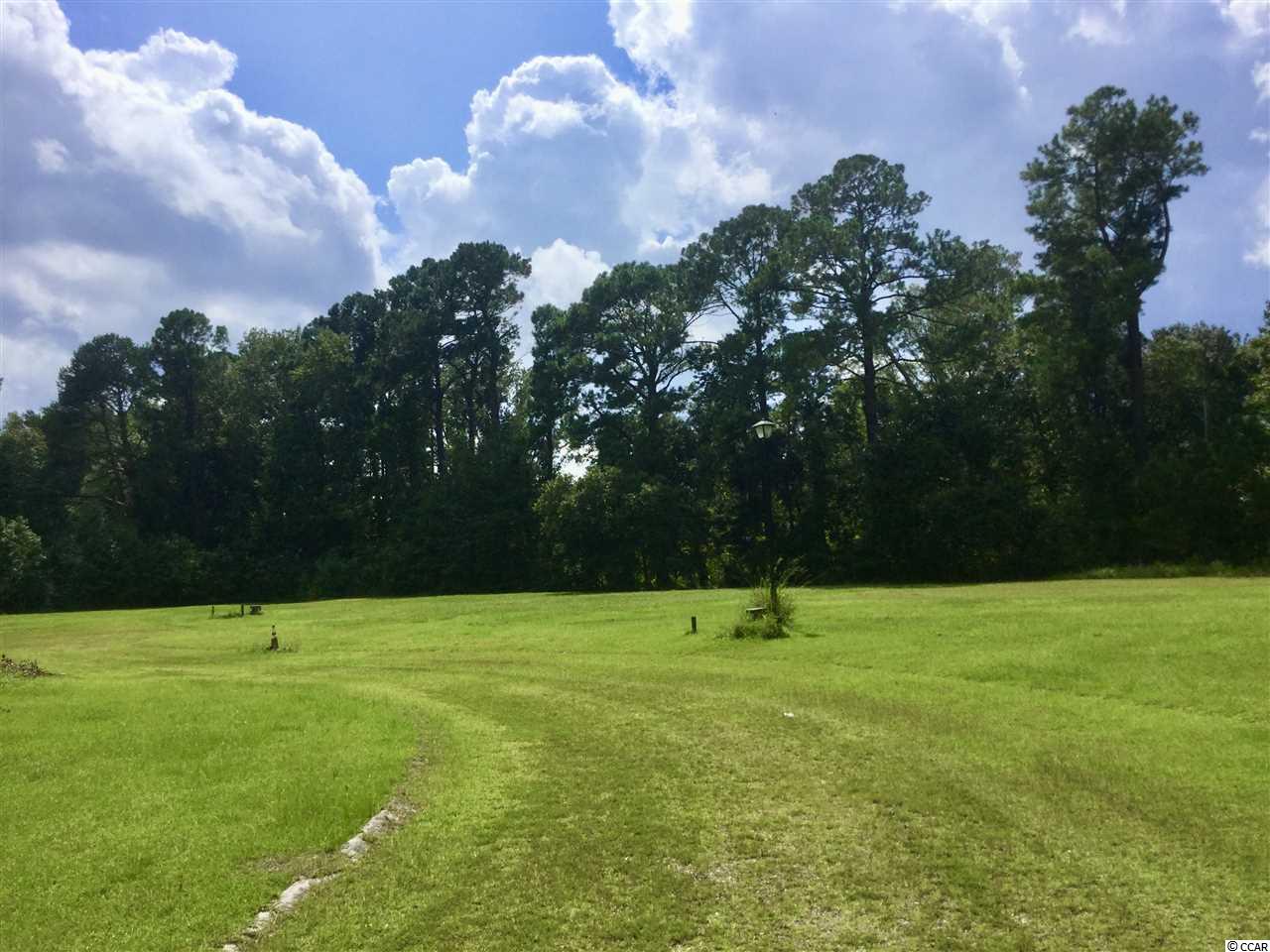 329 County Rd S-22-71 Georgetown, SC 29440 - Photo 2 of 11 Gallery Image 2