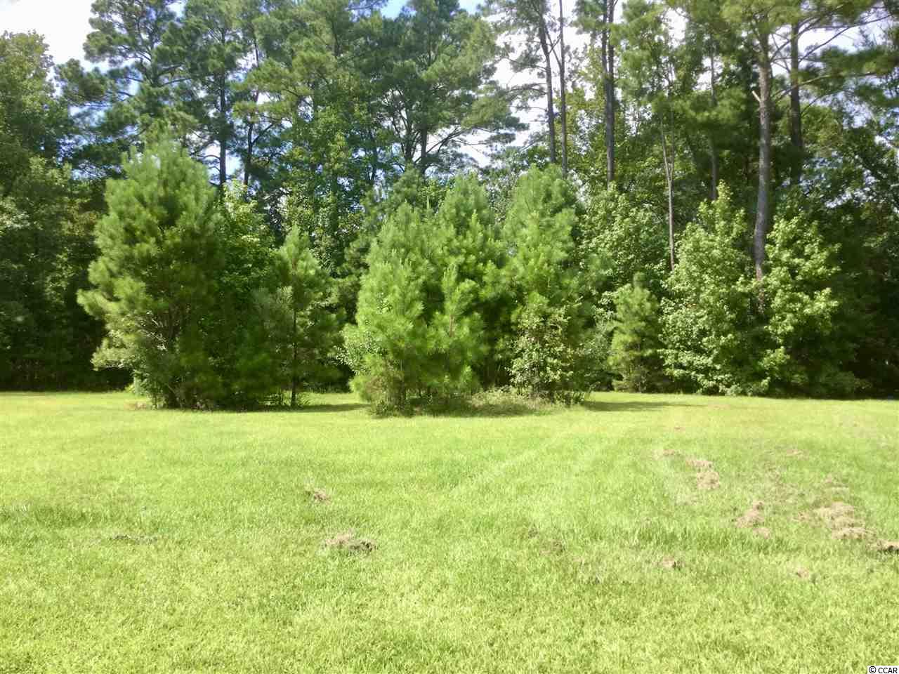 329 County Rd S-22-71 Georgetown, SC 29440 - Photo 4 of 11 Gallery Image 4