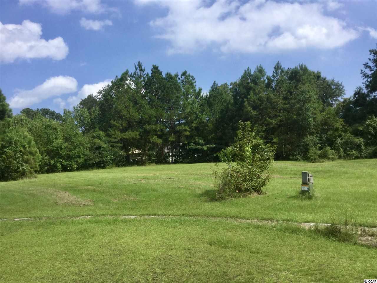 329 County Rd S-22-71 Georgetown, SC 29440 - Photo 6 of 11 Gallery Image 6