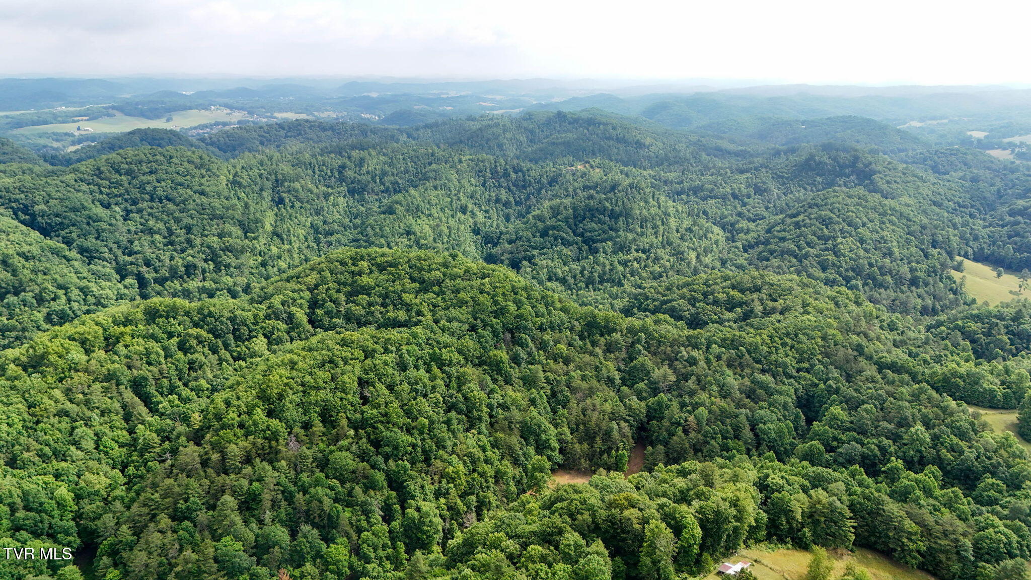 2523 Denton Valley Road, Unit 2 Bristol, TN 37620 - Photo 4 of 44 4