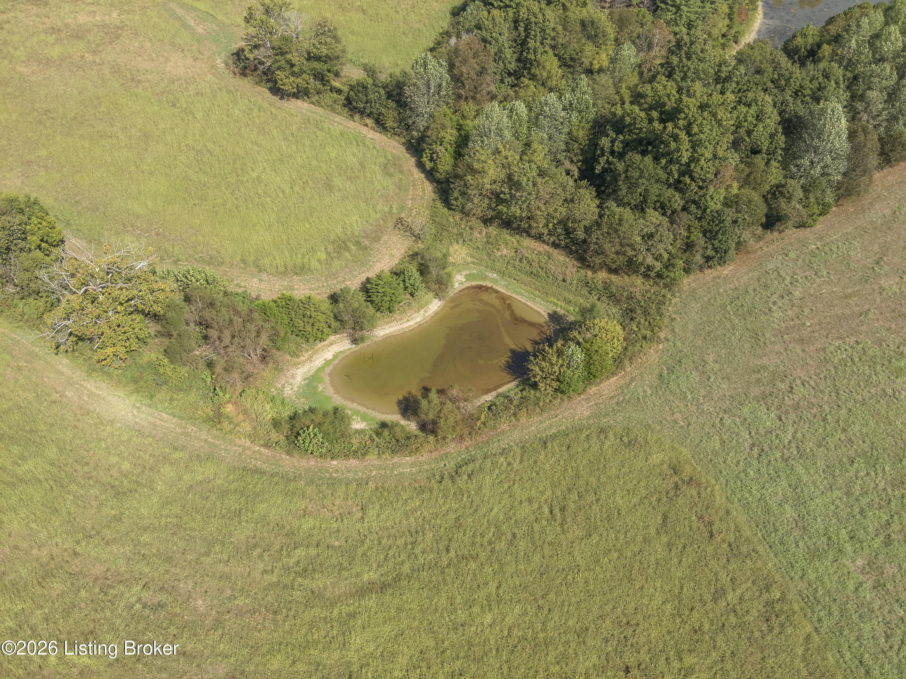 1925 Tick Creek Road Springfield, KY 40069 - Photo 27 of 30 13-DJI_20260930124852_0005_W
