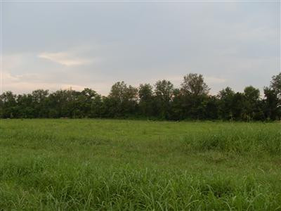 585 Embs Road Winchester, KY 40391 - Photo 4 of 4 Photo 4