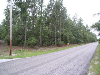 487 Cedar Road Windsor, SC 29856 - Photo 1 of 1