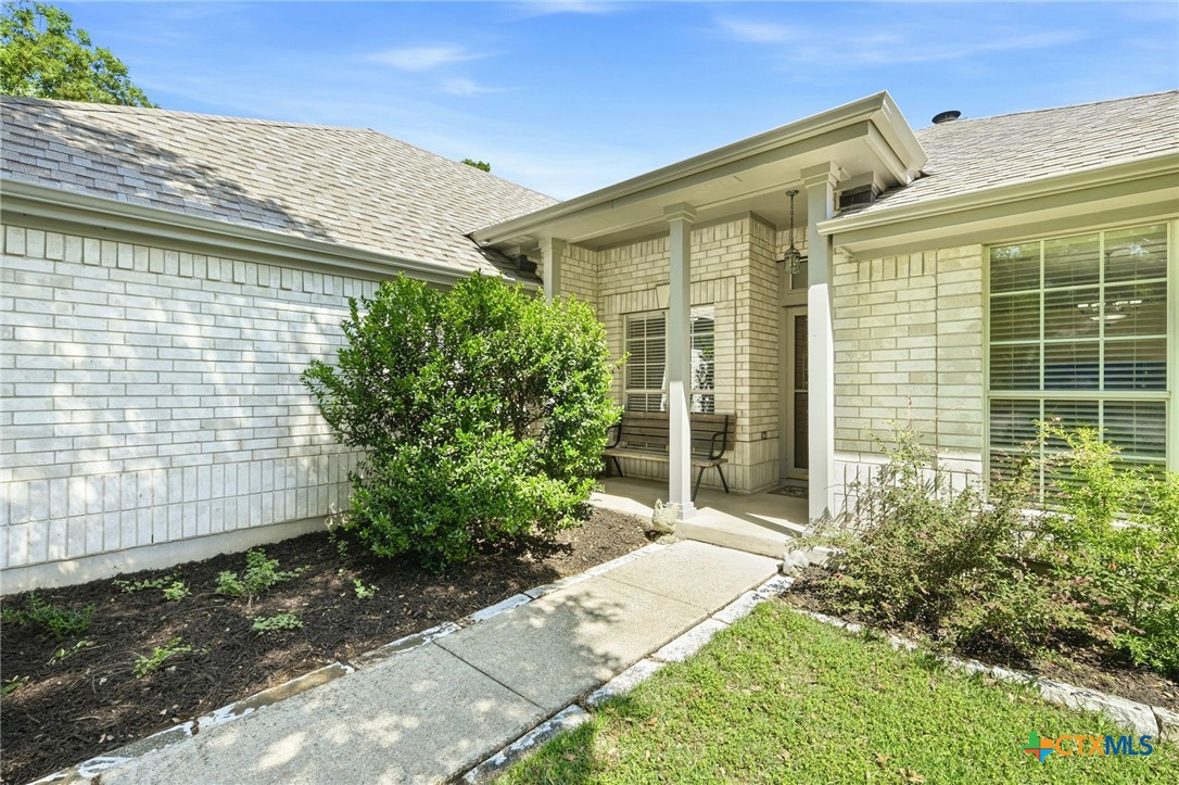 213 Rio Vista Drive Georgetown, TX 78626 - Photo 4 of 41