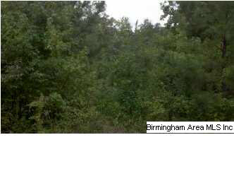 Wester Drive, Unit 37 Ragland, AL 35131 - Photo 2 of 3