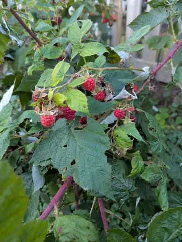 $410,000 | 112 28th Avenue, Somers, WI 53403