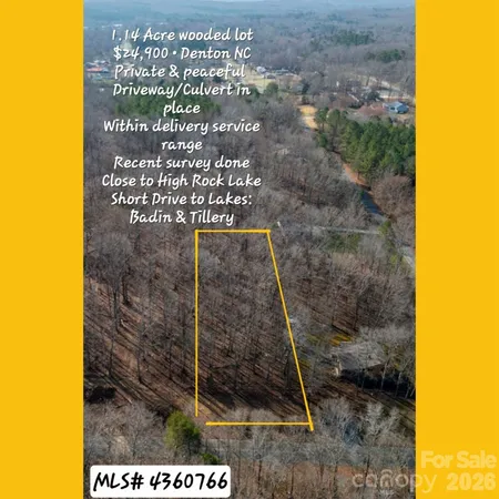 a view of a painting of a tree