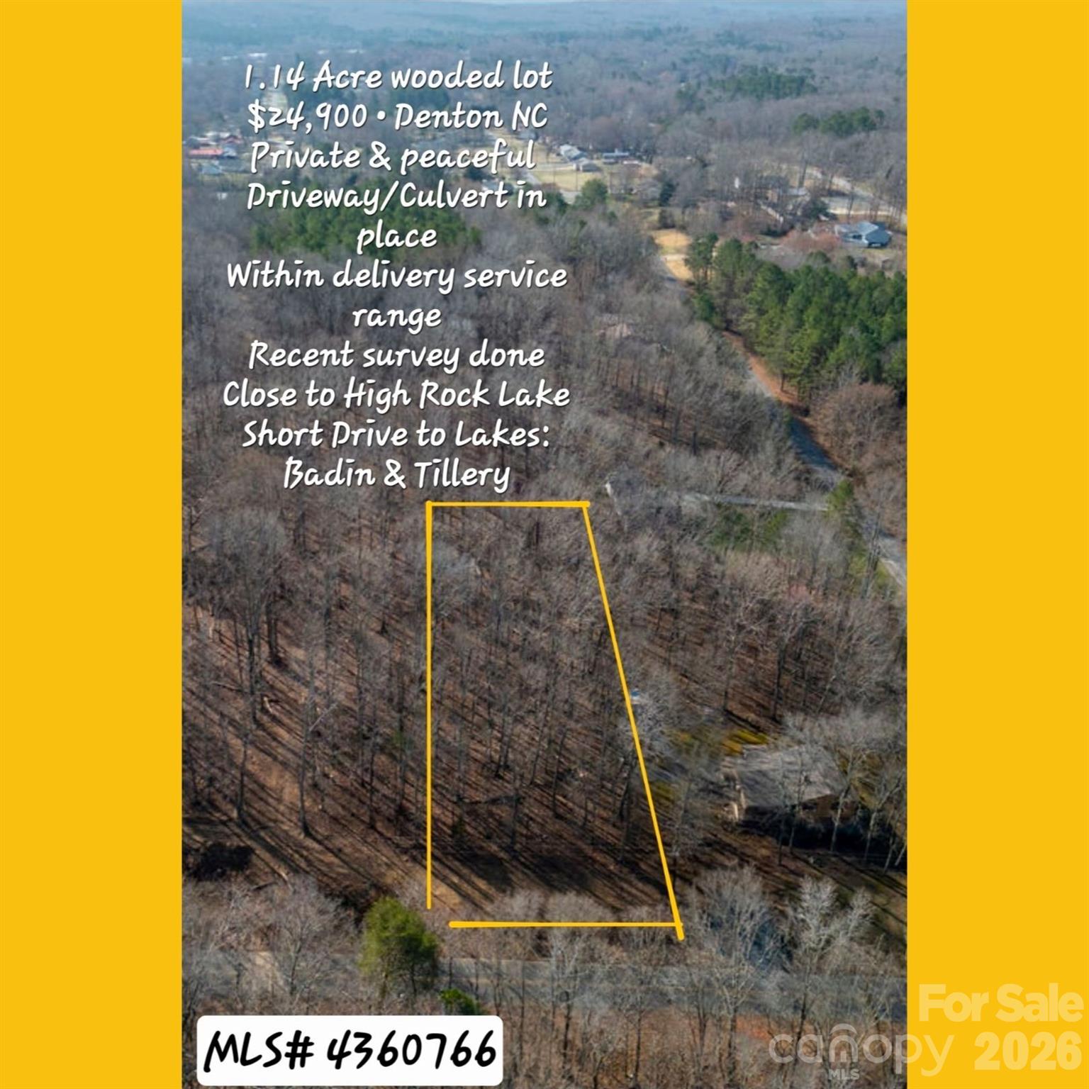 a view of a painting of a tree