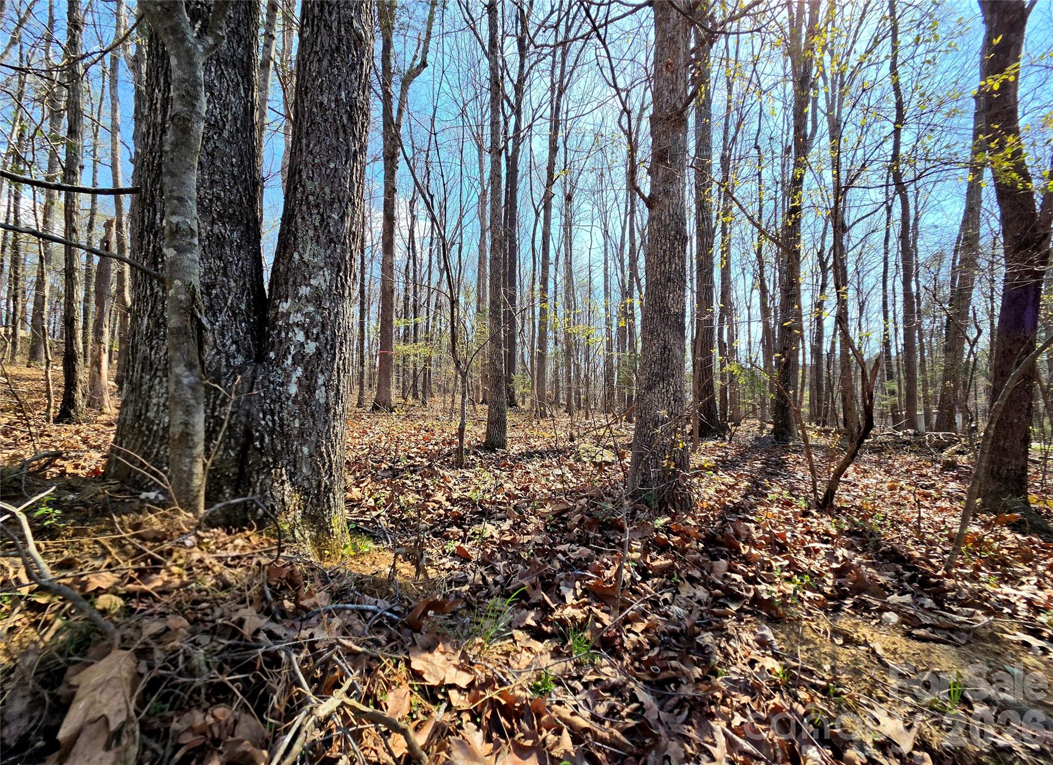 242 Sturdivant Road Garland, NC 28441 - Photo 4 of 9 a view of a backyard of the house