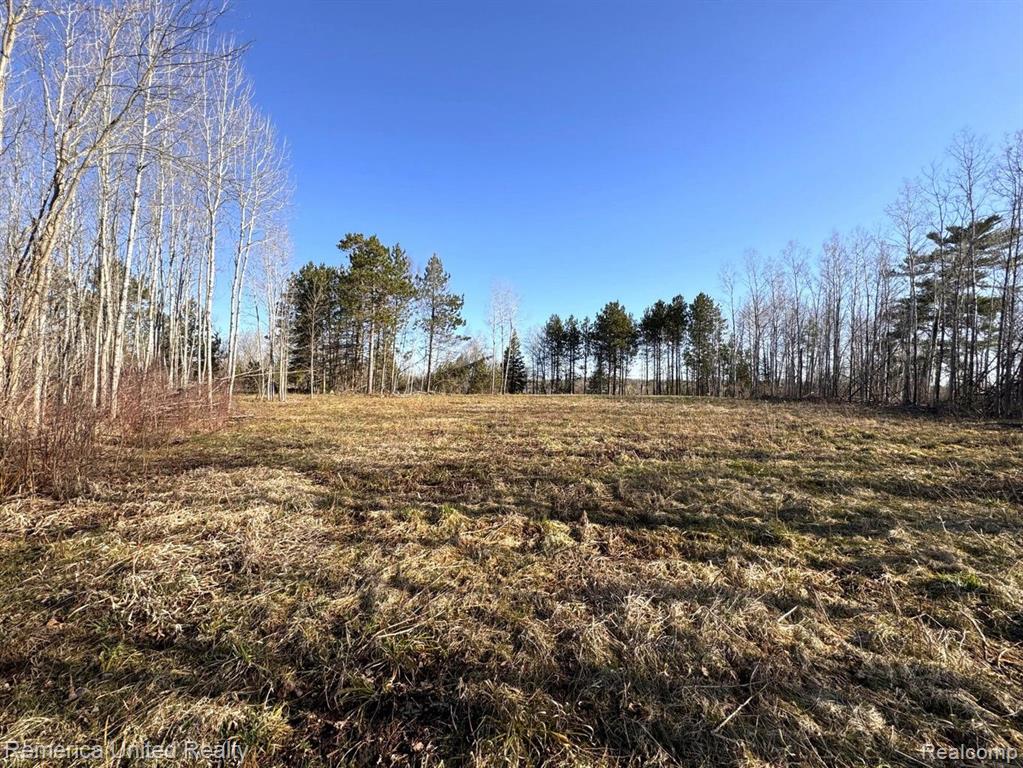 4052 South River Road Cheboygan, MI 49721 - Photo 10 of 15