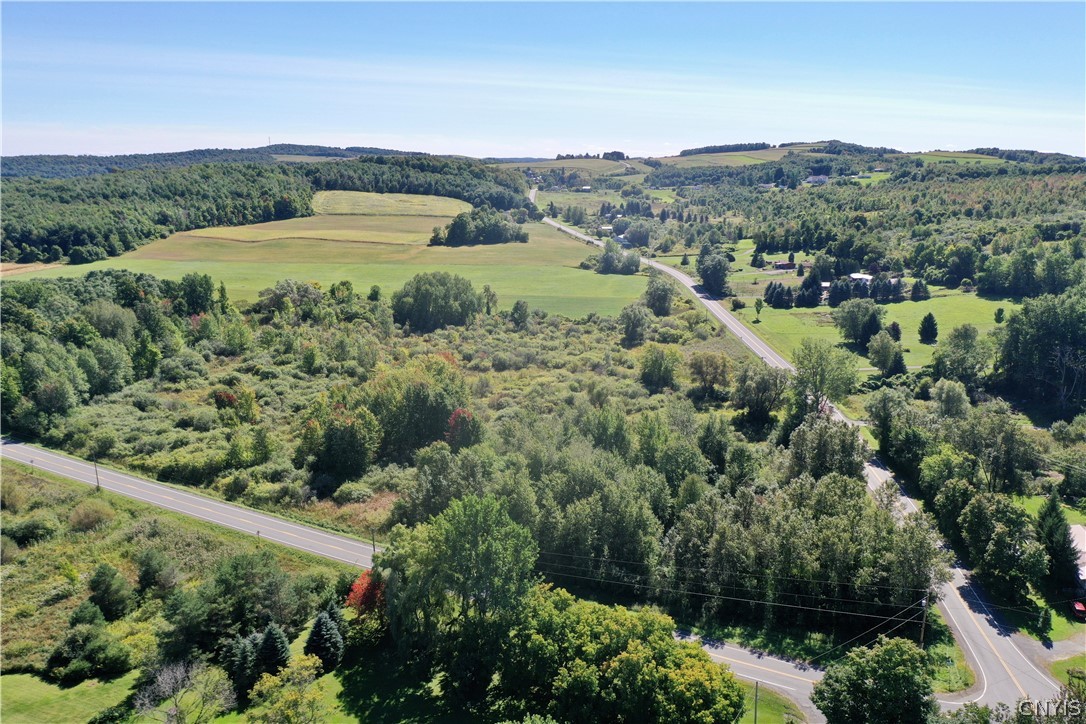 0 Fearon Road Morrisville, NY 13408 - Photo 3 of 7