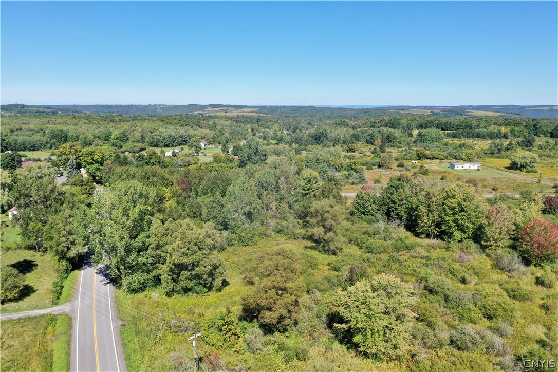 0 Fearon Road Morrisville, NY 13408 - Photo 4 of 7