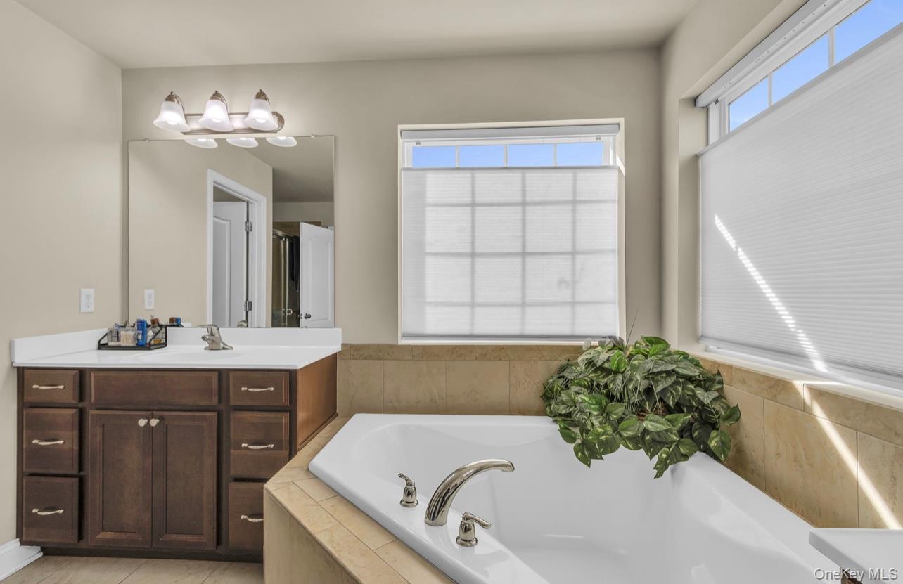 59 Luthien Forrest Road Rock Tavern, NY 12575 - Photo 29 of 48 a bathroom with a tub sink and mirror