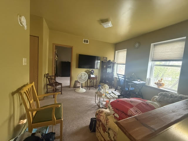 8008 South Ridgeland Avenue, Unit 2A Chicago, IL 60617 - Photo 4 of 16