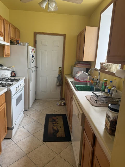 8008 South Ridgeland Avenue, Unit 2A Chicago, IL 60617 - Photo 8 of 16