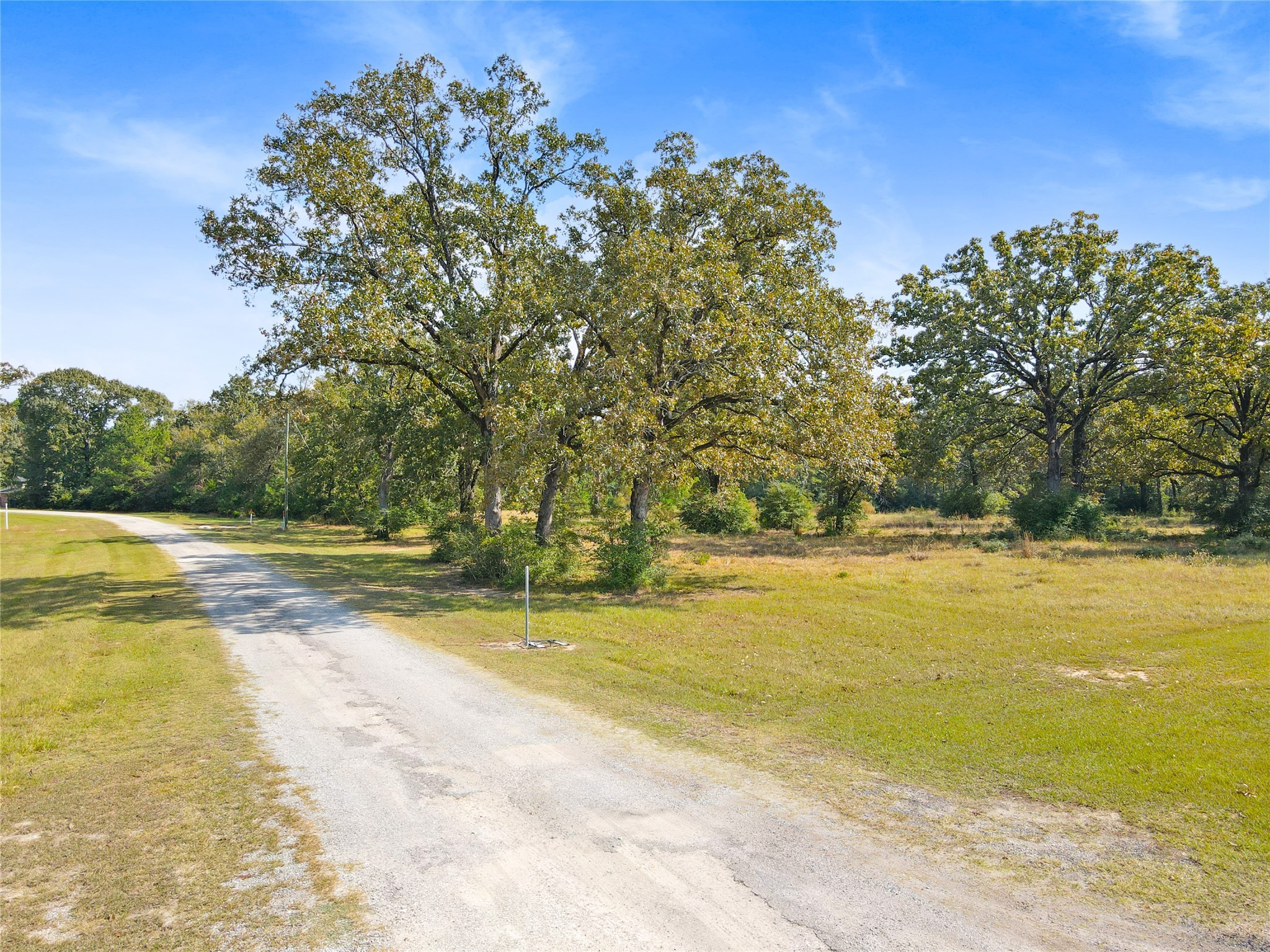 Lot 33 Lake Livingston Lane Trinity, TX 75862 - Photo 12 of 12 a view of a swimming pool and trees
