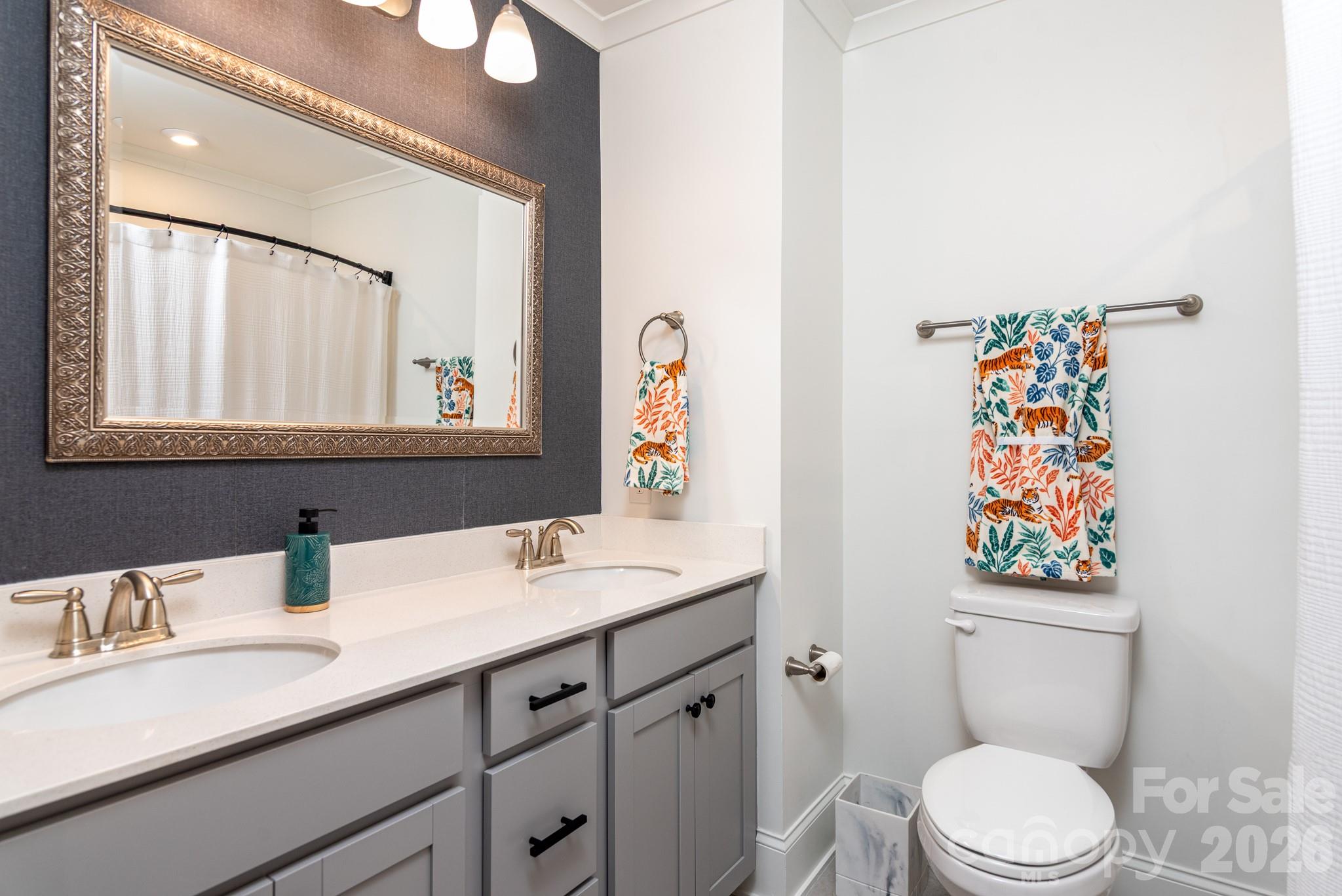 16629 Summers Walk Boulevard Davidson, NC 28036 - Photo 20 of 29 a bathroom with a sink a toilet and a mirror