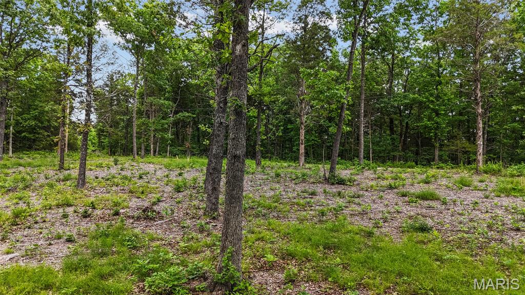299 Whitetail Ridge Dittmer, MO 63023 - Photo 19 of 19