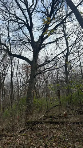 $274,900 | 21860 Highway 113, Custer Park, IL 60481