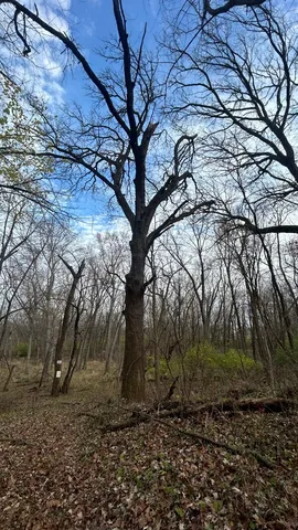 $274,900 | 21860 Highway 113, Custer Park, IL 60481