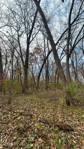 $274,900 | 21860 Highway 113, Custer Park, IL 60481