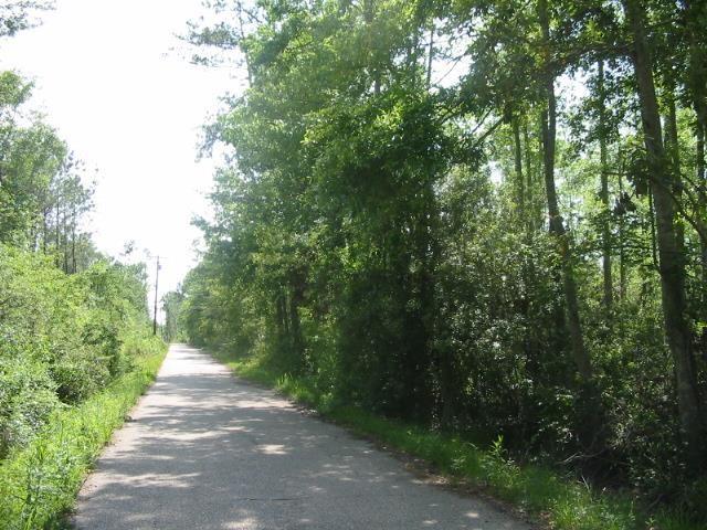 Lot 2 Issac Road Lacombe, LA 70445 - Photo 2 of 3