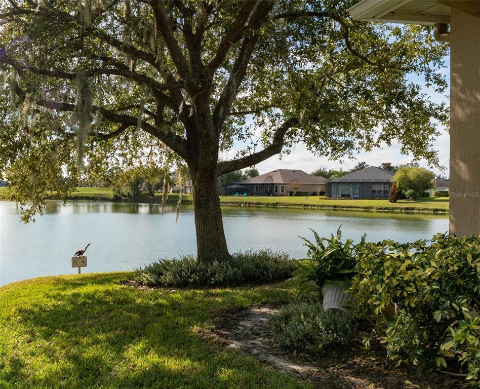 6908 Eagle Ridge Boulevard Lakeland, FL 33813 - Photo 47 of 52