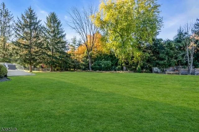 a view of yard with green space