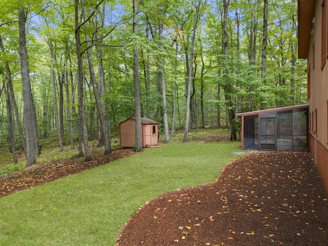 a view of a back yard