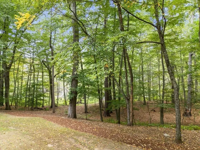 a backyard of a house with lots of green space