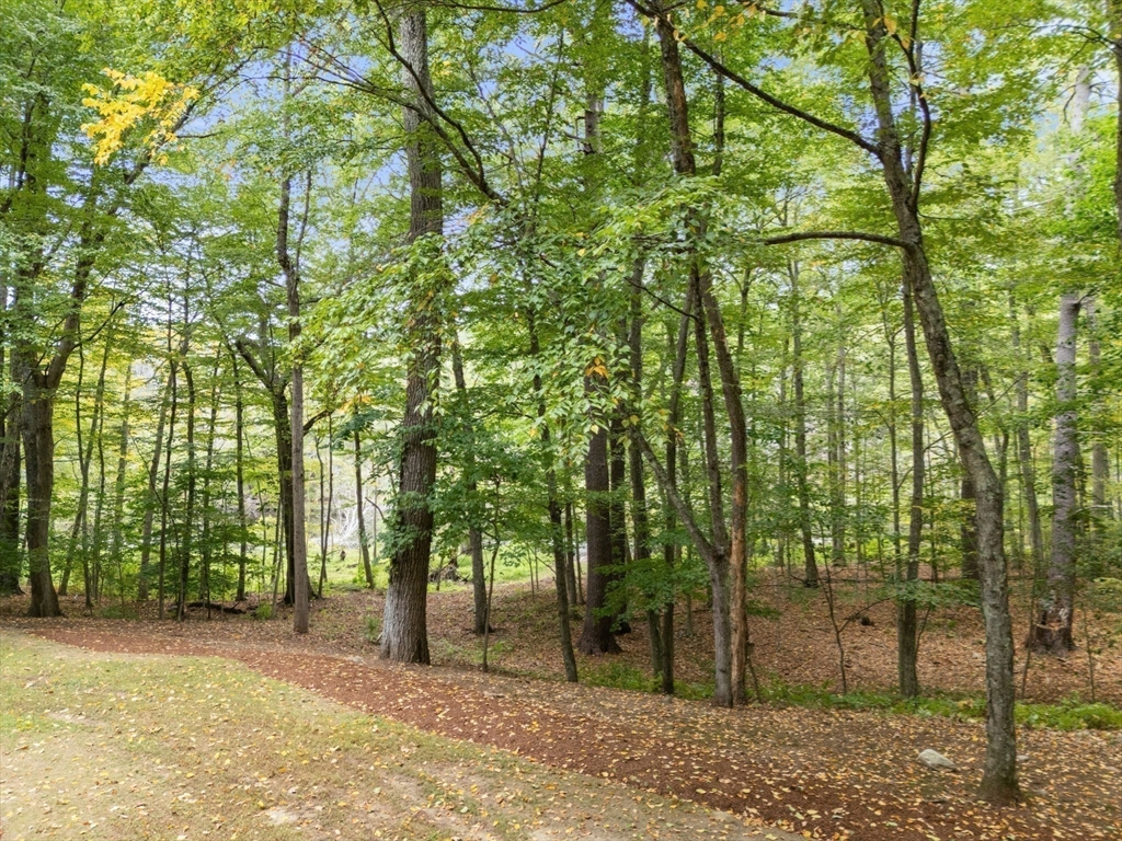 23 Indian Ridge Road Natick, MA 01760 - Photo 34 of 40 a backyard of a house with lots of green space